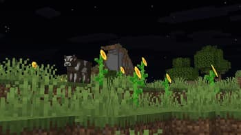 FullBright+ screenshot