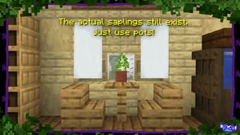 axy's Sapling Seeds screenshot