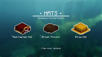 MTW's Pirates CIT Pack screenshot