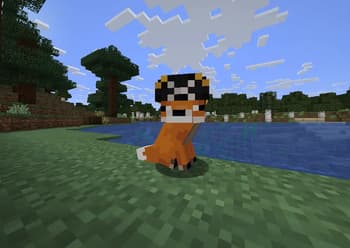 MTW's Pirates CIT Pack screenshot