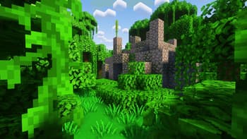CotCotPack screenshot