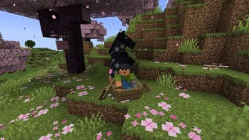 HorseInBoat screenshot