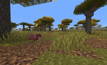 Vanilla Backport Compat screenshot