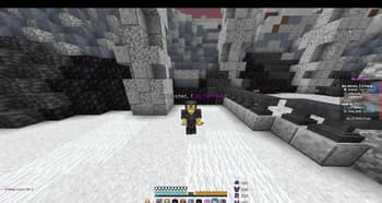 SWAGSTAN 16X screenshot