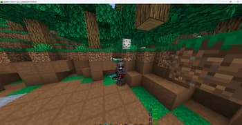 SWAGSTAN 16X screenshot