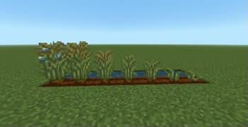 Supplementaries Rope Tweaks screenshot