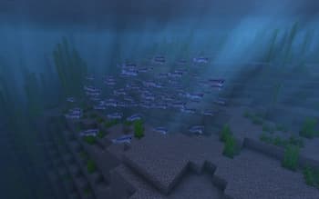 Ben's Sharks screenshot