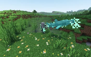 Ben's Sharks screenshot