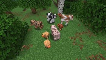 J6's Mob Variants screenshot
