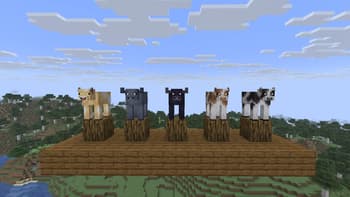 J6's Mob Variants screenshot