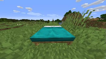 Better Beds screenshot