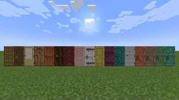 Solid Doors screenshot