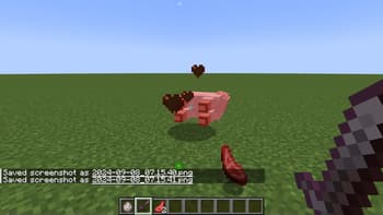 TNT's Harder Beds screenshot