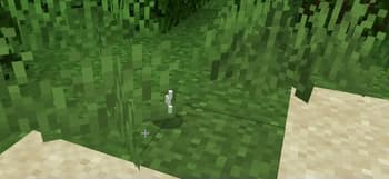 More Food xD screenshot
