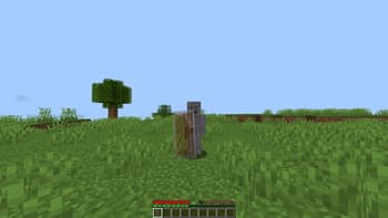 transparent shield screenshot