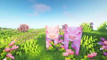 Mystic's Biomes screenshot