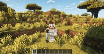 Robotica screenshot