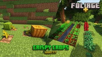 Foliage+ screenshot