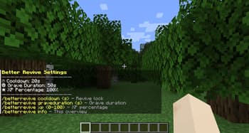 Better Revive screenshot