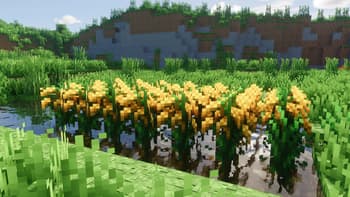 SPBR-Farmer's Delight screenshot