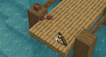 Display Entities screenshot