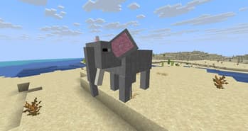 Wild Animals screenshot