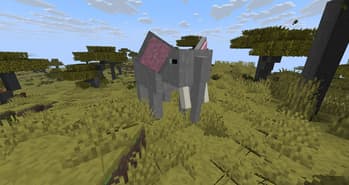 Wild Animals screenshot