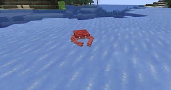 Wild Animals screenshot