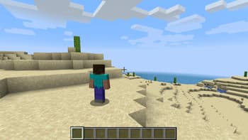 Shoulder Surfing Reloaded screenshot