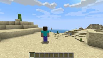 Shoulder Surfing Reloaded screenshot