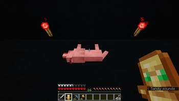 Corpses persist [Pet revival :D] screenshot