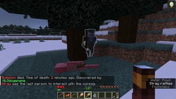 Corpses persist [Pet revival :D] screenshot