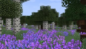 Windswept screenshot