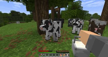 Refined Buckets screenshot