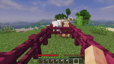 Barched screenshot