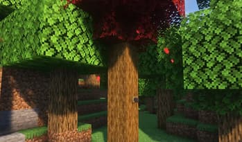 Yeast 'n Feast screenshot
