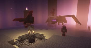 npc-lib screenshot