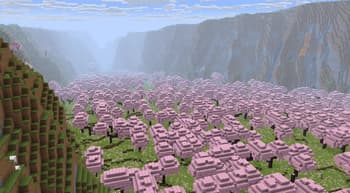 Tectonic screenshot