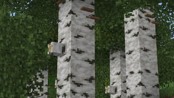 Lushier Forests screenshot
