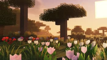 Faithful 64x - Alternative Environment screenshot