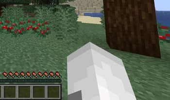 Catify screenshot
