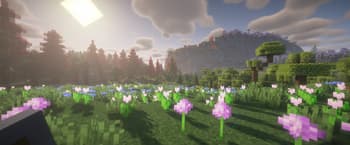 Some Overhaul screenshot