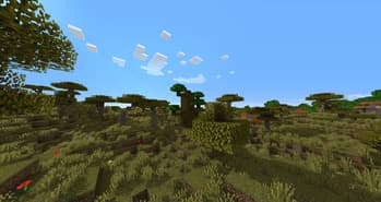 Biome Update screenshot