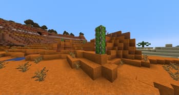 Biome Update screenshot