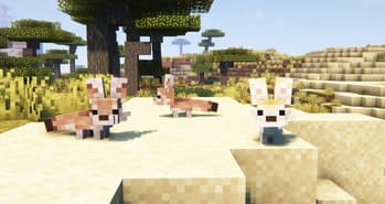 Faunify screenshot