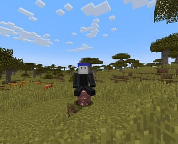Ride Anything screenshot
