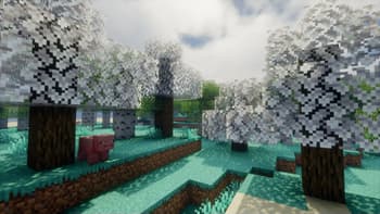 HexaBiome Nirvana screenshot