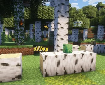Plants&Junk screenshot