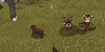 Caracal mob screenshot