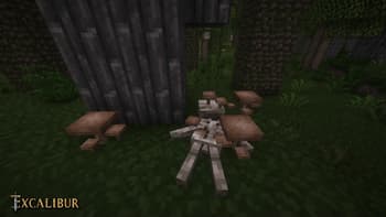Excalibur | Fallen Adventurers Support screenshot